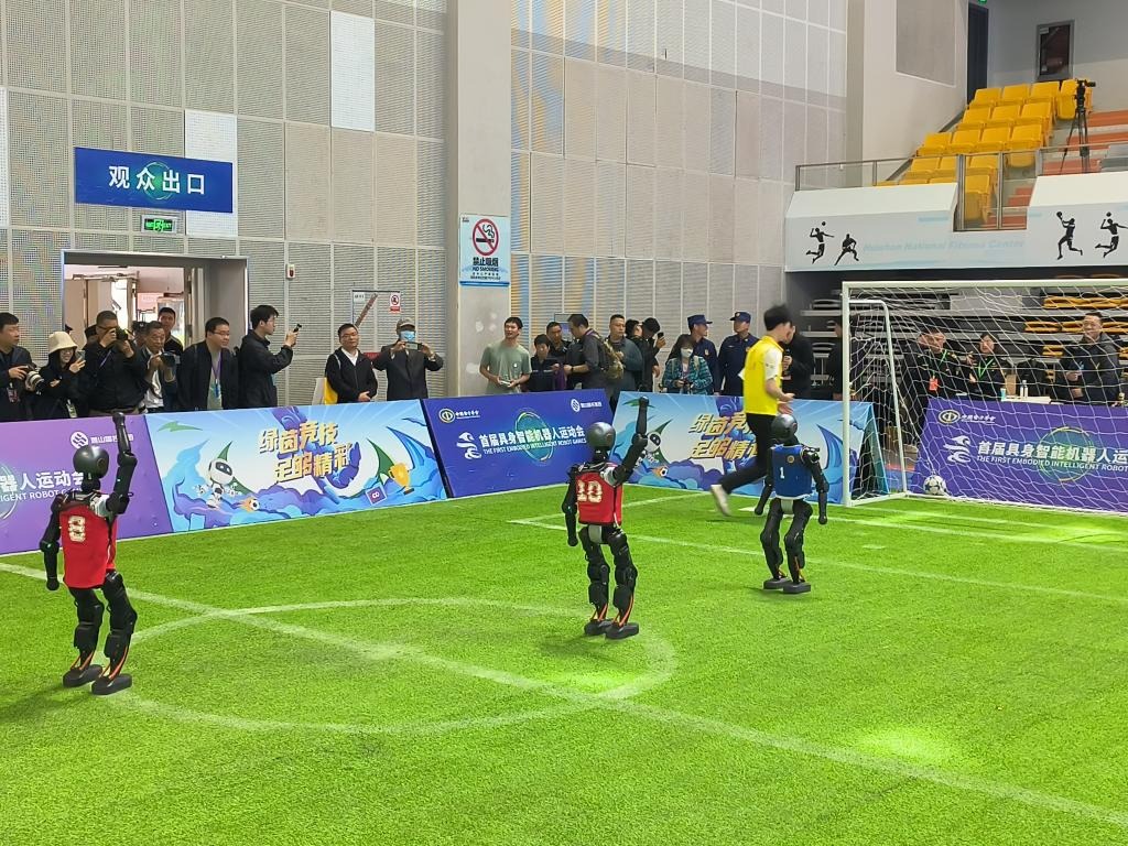 综合体育赛季阶段总结 各项目走势综合评估